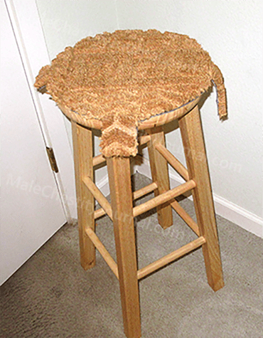 lion's punishment stool
